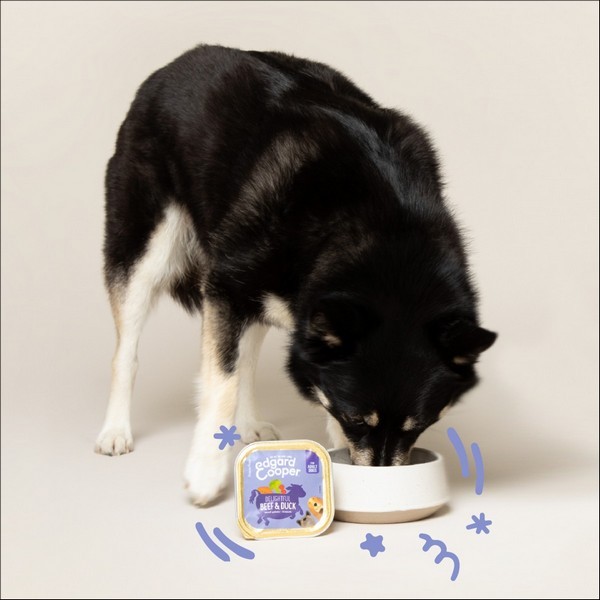 Edgard & Cooper Barquette Bœuf & Canard Pour Chien Adulte