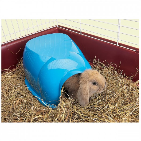 Maisonnette Plastique Igloo Pour Rongeur
