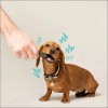 Edgard & Cooper Stick Dentaire Mâch'sticks Eucalyptus & Pomme Pour Chien