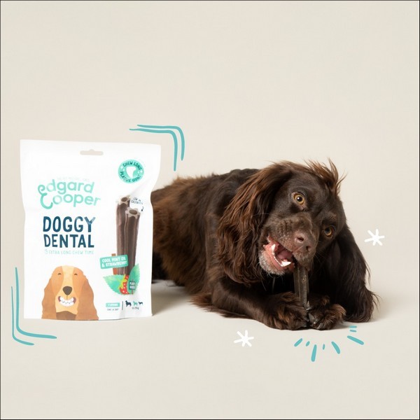 Edgard & Cooper Stick Dentaire Mâch'sticks Menthe & Fraise Pour Chien