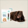 Edgard & Cooper Stick Dentaire Mâch'sticks Menthe & Fraise Pour Chien