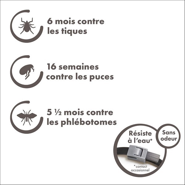 Canishield, Collier Anti-Phlébotome, Anti-Tique & Anti-Puce Beaphar