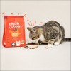 Edgard & Cooper Croquettes Au Poulet Frais Élevé En Plein Air Sans Céréales Pour Chat Adulte