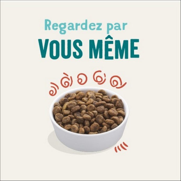 Edgard & Cooper Croquettes Au Poulet Frais Élevé En Plein Air Sans Céréales Pour Chat Adulte