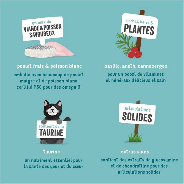 Edgard & Cooper Croquettes Poulet Frais Élevé En Plein Air & Poisson Blanc MSC Frais Sans Céréales Pour Chat Sénior