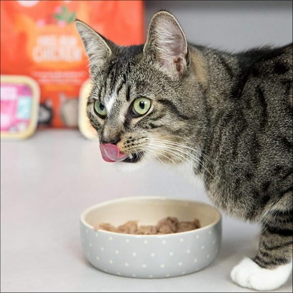 Edgard & Cooper Barquette Au Bœuf & Au Canard Sans Céréales Pour Chat Adulte