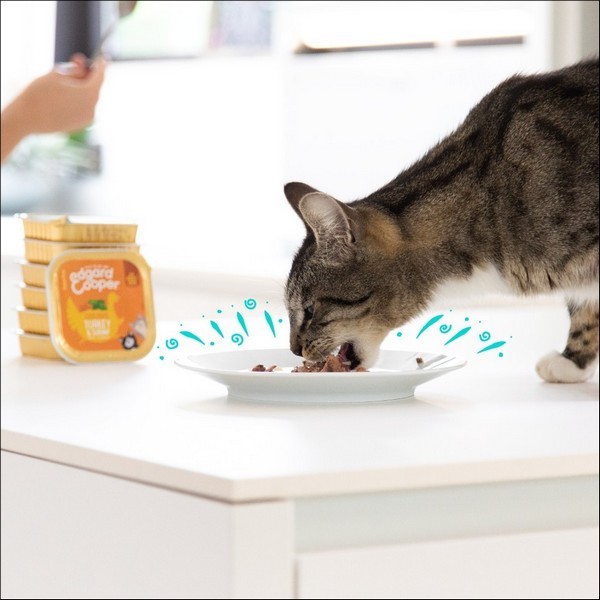 Edgard & Cooper Barquette A La Dinde & Aux Crevettes Sans Céréales Pour Chat Adulte