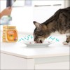 Edgard & Cooper Barquette A La Dinde & Aux Crevettes Sans Céréales Pour Chat Adulte