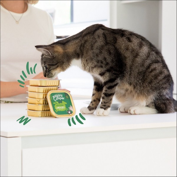 Edgard & Cooper Barquette Au Bœuf & A L'Agneau Sans Céréales Pour Chat Adulte