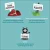 Edgard & Cooper Barquette Au Veau & Au Bœuf Biologiques Sans Céréales Pour Chat Adulte
