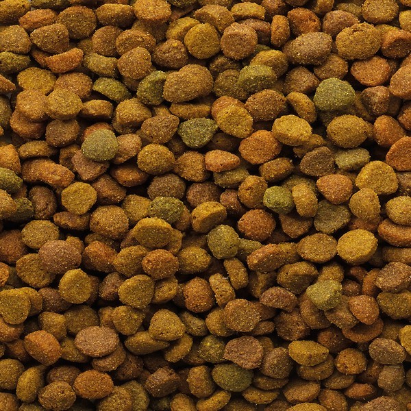 VERSELE LAGA Croquettes Classic Variety Pour Chat