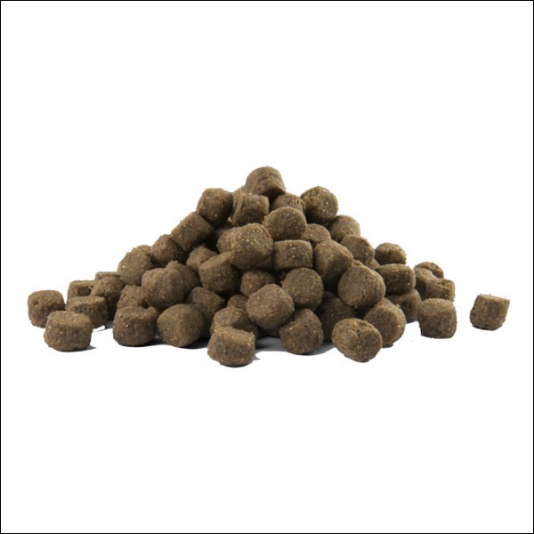 Croquettes Premium Au Saumon Pour Chien Adulte VERSELE LAGA
