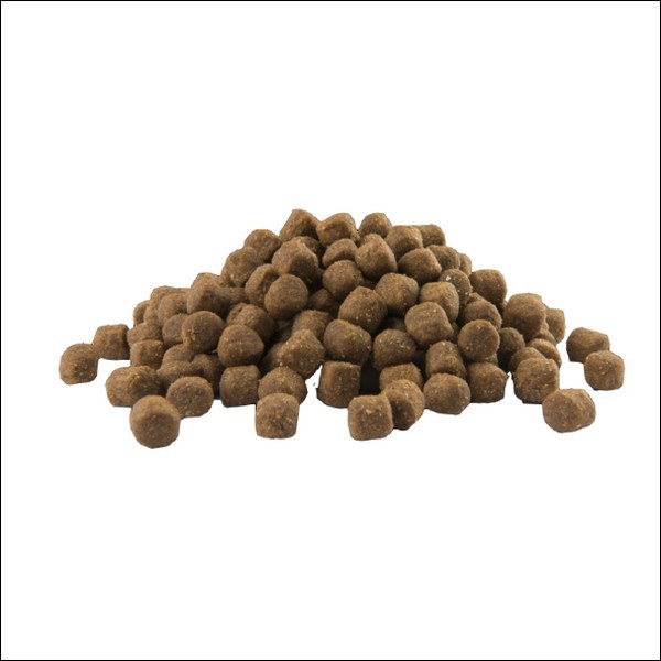 Croquettes Premium Au Saumon Pour Chiots VERSELE LAGA