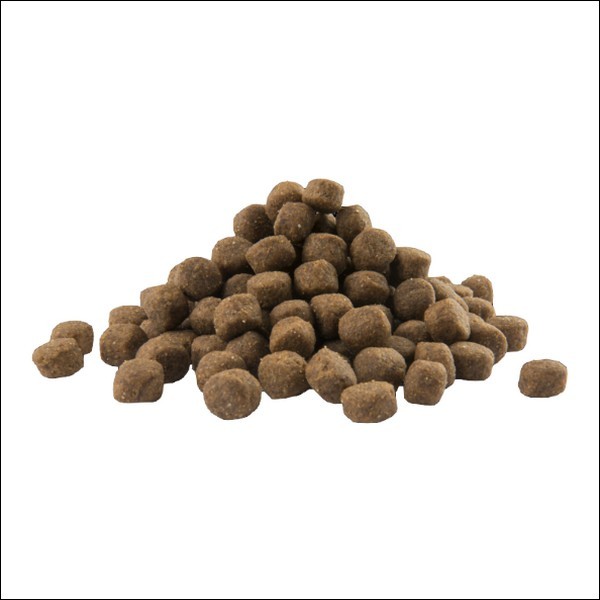 Croquettes Premium Au Poulet Pour Chiots De Grandes Races VERSELE LAGA