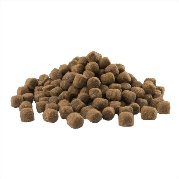 Croquettes Premium Au Saumon Pour Chiens Adultes De Petites Races Spécial Soin De La Peau VERSELE LAGA