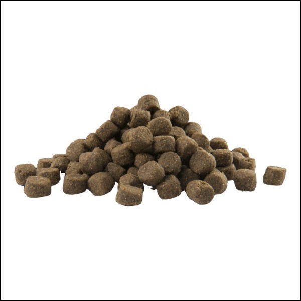 Croquettes Premium A L'Agneau Pour Chiens Adultes De Moyennes & Grandes Races Soins De La Peau VERSELE LAGA