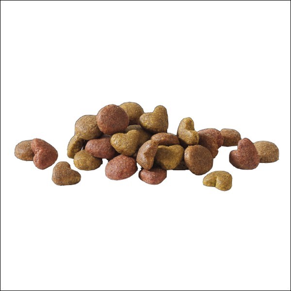 Croquettes Premium Au Saumon Pour Chiens Adultes Actifs VERSELE LAGA