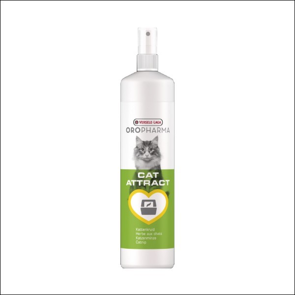 Spray A Base D'Extrait De Cataire, L'Herbe Aux Chats VERSELE LAGA