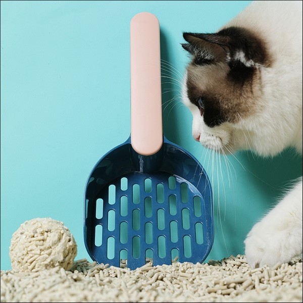 Ensemble De Pelle A Litière Pour Chat