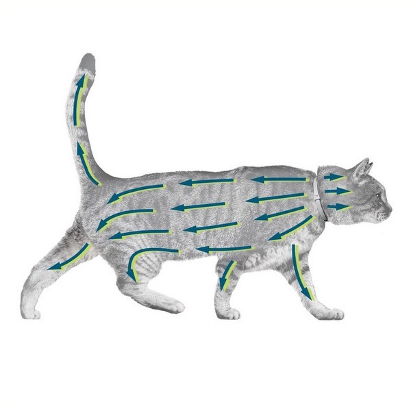 Collier Antiparasitaire Pour Chat Seresto