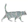 Collier Antiparasitaire Pour Chat Seresto