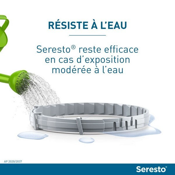 Collier Antiparasitaire Pour Chat Seresto