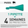 Pipettes Antiparasitaires Frontline Combo Pour Chat