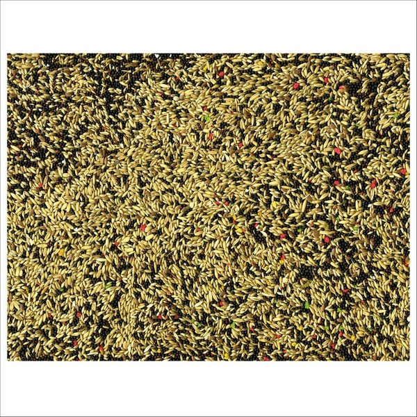 Graines Pour Oiseaux Canaris Color Vadigran