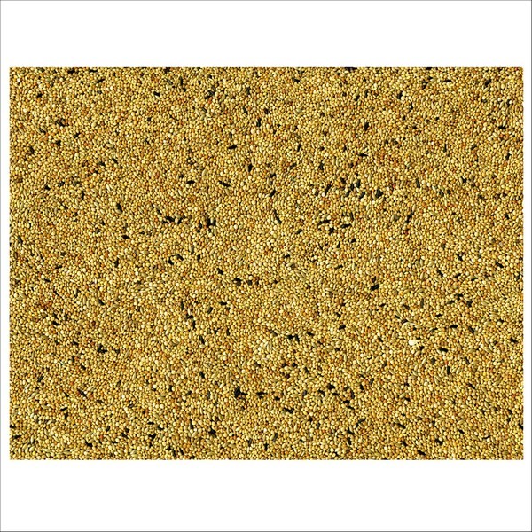 Graines Pour Oiseaux Exotique Original Vadigran