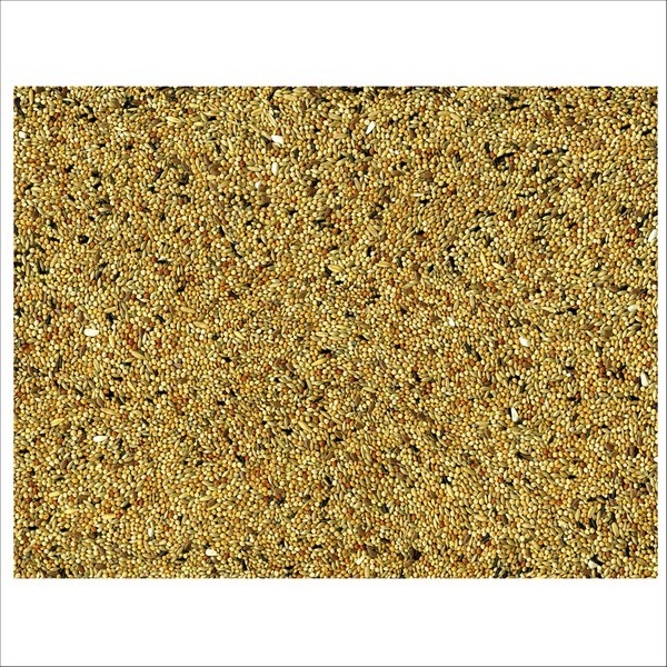 Graines Pour Oiseaux Perruches Original Vadigran