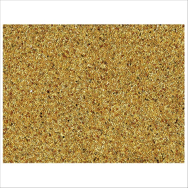 Graines Pour Oiseaux Perruches Basic Vadigran
