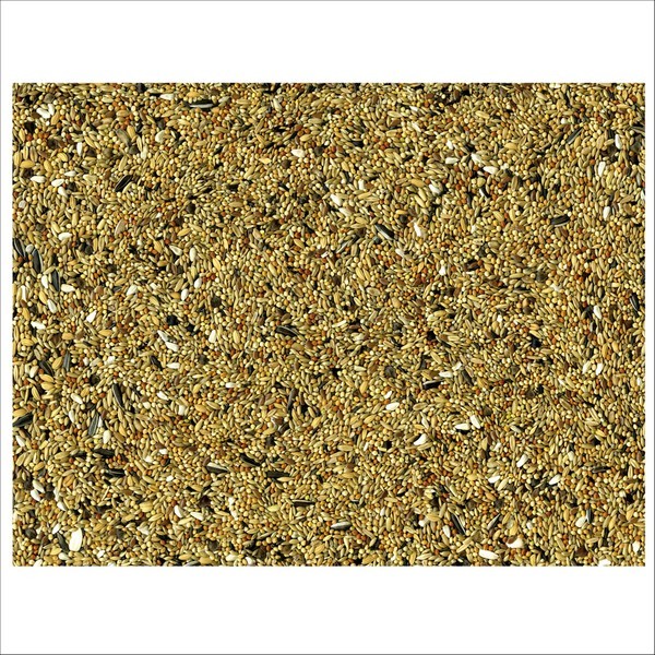 Graines Pour Oiseaux Grandes Perruches Vadigran