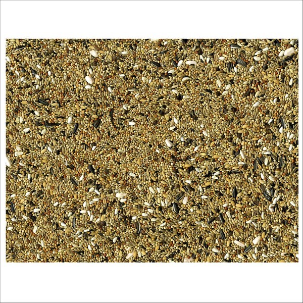 Graines Pour Oiseaux Grandes Perruches Original Vadigran