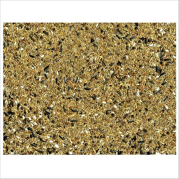 Graines Pour Oiseaux Grandes Perruches Coarse Vadigran
