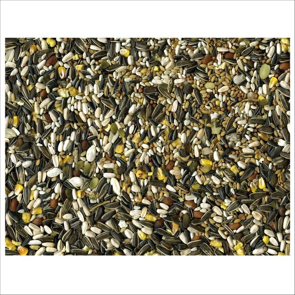 Graines Pour Oiseaux Perroquets Original Vadigran