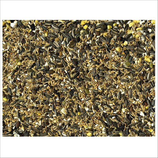 Graines Pour Oiseaux Perroquets Condition Vadigran