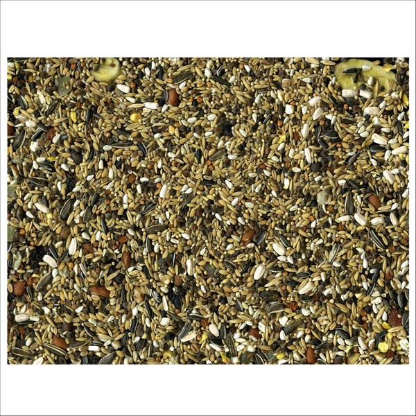 Graines Pour Oiseaux Perroquets Tropical Condition Vadigran
