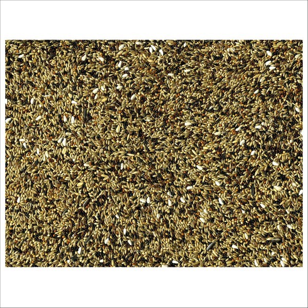 Graines Pour Oiseaux Du Jardin Vadigran