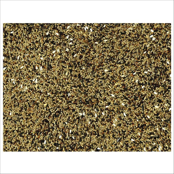 Graines Pour Oiseaux Du Jardin Original Vadigran