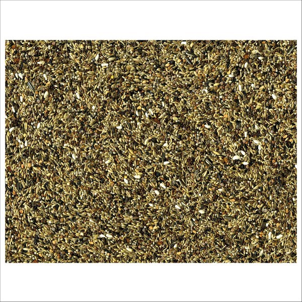 Graines Pour Oiseaux Bouvreuils Vadigran