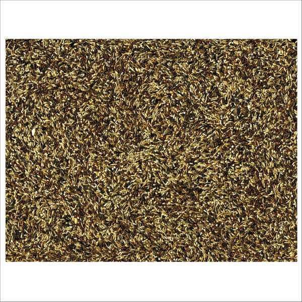 Graines Pour Oiseaux Tarins & Chardonnerets Vadigran