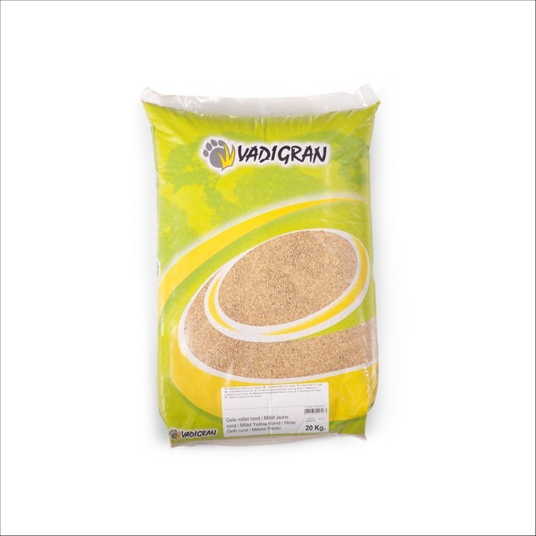 Graines Millet Rond Jaune Pour Oiseaux Vadigran