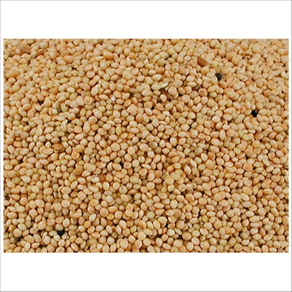 Graines Millet Rond Blanc Pour Oiseaux Vadigran