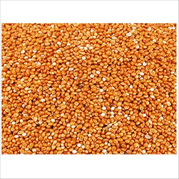 Graines Millet Rond Rouge Pour Oiseaux Vadigran