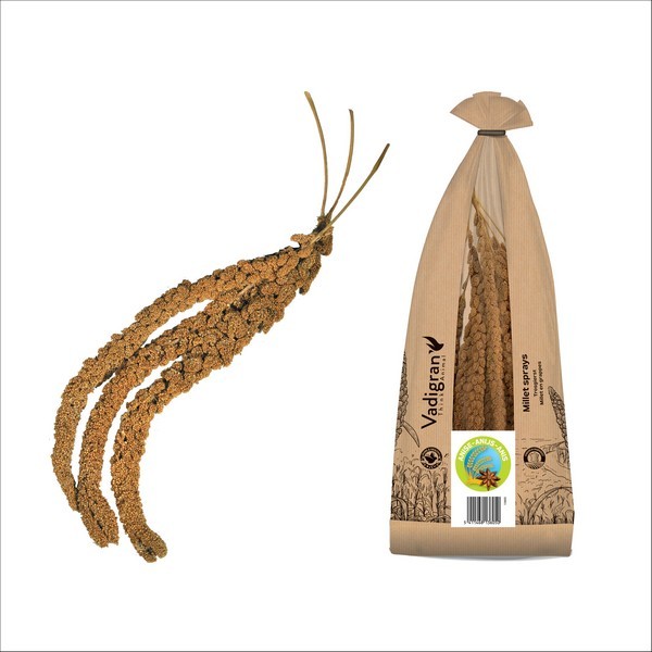 Millet Français En Grappes Jaune Imbibées D'Arôme D'Anis Pour Oiseaux Vadigran