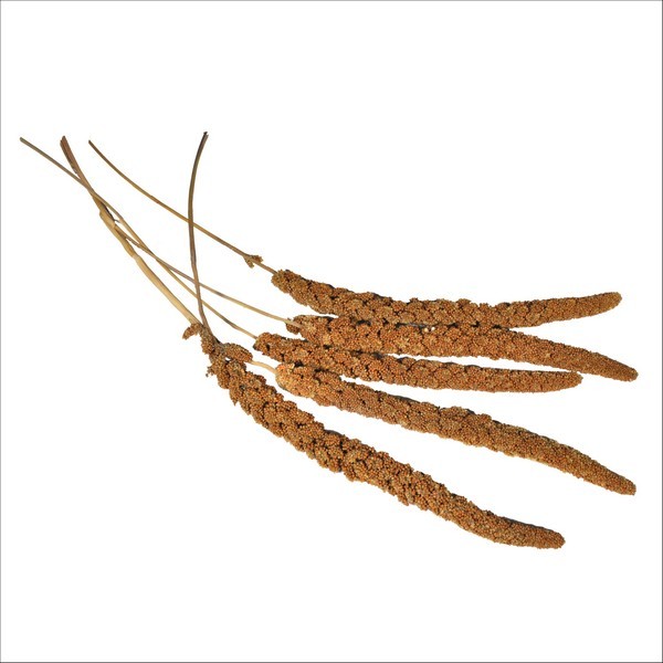 Millet Français En Grappes Rouge Pour Oiseaux Vadigran