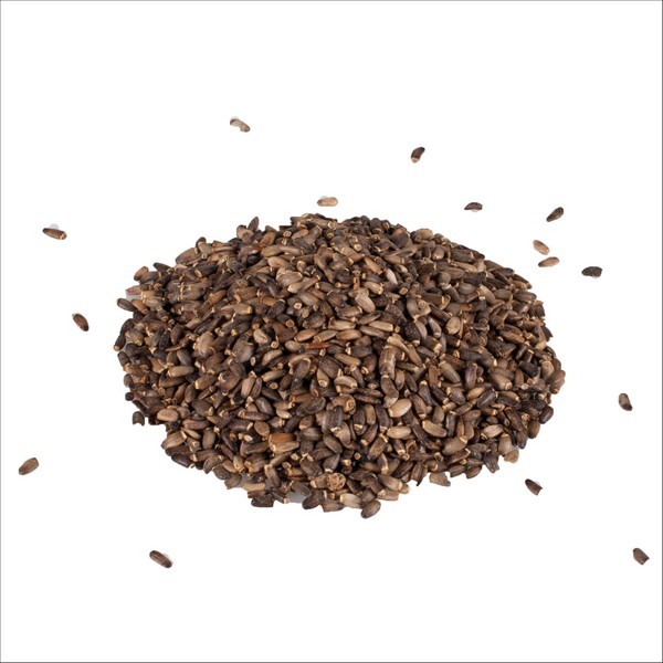 Graines De Chardon Pour Oiseaux Vadigran