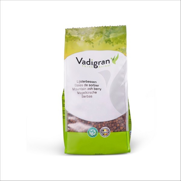 Baies de Sorbier Pour Oiseaux Vadigran