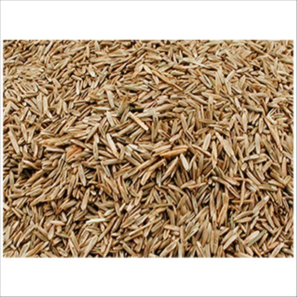 Semences D'Herbes Pour Oiseaux Exotiques & Tarins Vadigran