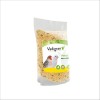 Pâtée Soft Blanche Pour Oiseaux Vadigran